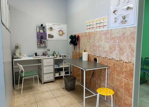 +79296061111 звонок из ПриВет