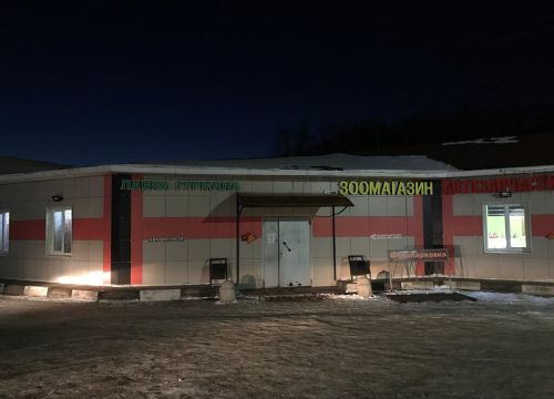 +79296190293 звонок из WhiteBear