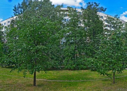 +79296191713 звонок из День Чудес