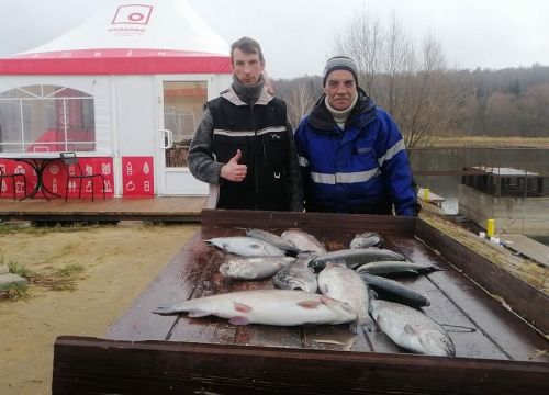 +79296460277 звонок из Русский осетр