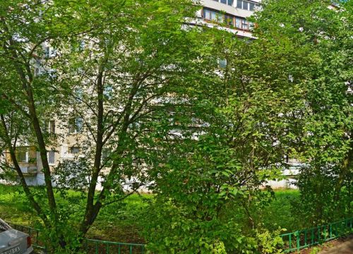 +79296620846 звонок из Комфорт