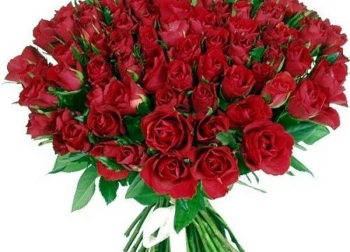 +79297031304 звонок из Бутик Букет 24