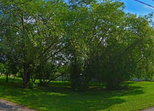 +79299760584 звонок из Покраска автомобиля