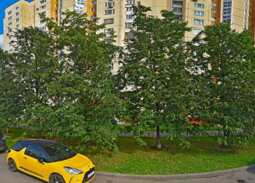 +79300000255 звонок из Sota ServiceMSK