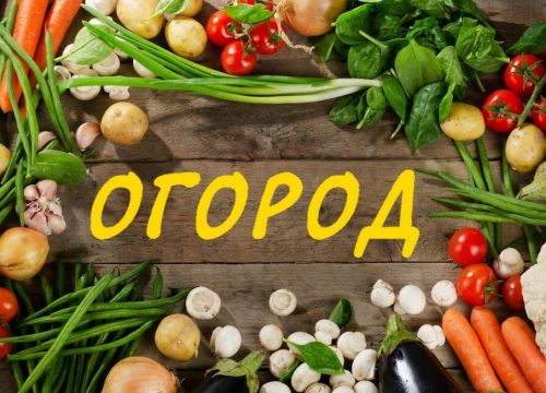 +79301071530 звонок из Огород