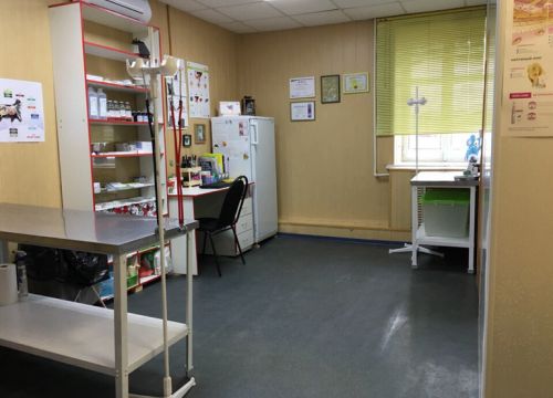 +79302230303 звонок из ЗооЦентр