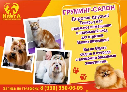 +79303500605 звонок из Ветеринарная клиника ИветА