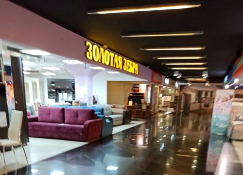 +79304081233 звонок из Золотая зебра