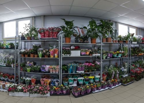+79304240015 звонок из Floravita