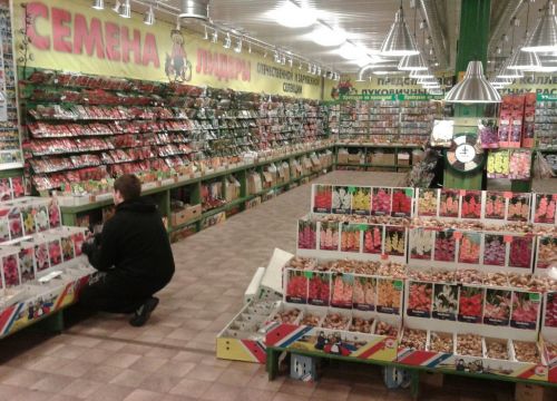 +79313063884 звонок из Практик сада, магазин семян