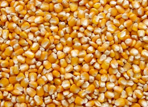 +79315791118 звонок из Фермерский двор