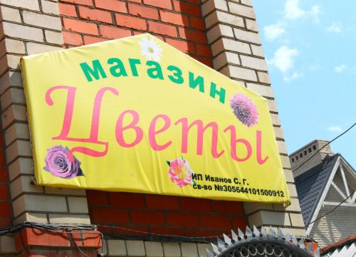 +79370297998 звонок из Цветы