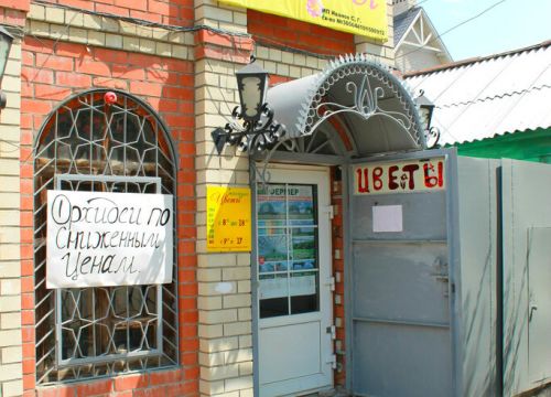 +79370297998 звонок из Цветы