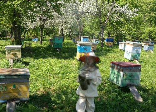 +79371670202 звонок из Манагорье