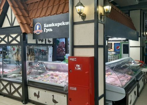 +79373424777 звонок из Башкирский гусь