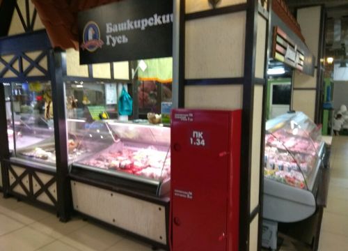 +79373424777 звонок из Башкирский гусь