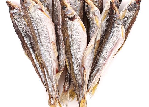 +79379370708 звонок из Ханс Бир