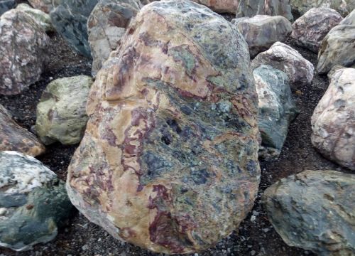 +79385500116 звонок из Гарденпатио