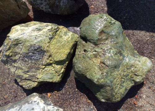 +79385500116 звонок из Гарденпатио