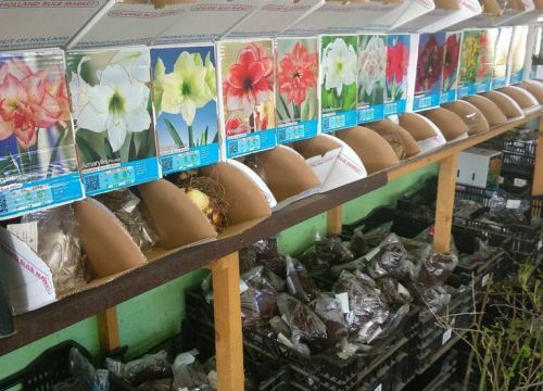 +79388680700 звонок из Долина роз