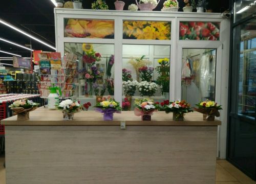 +79500300187 звонок из The-Rose