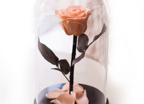 +79500300187 звонок из The-Rose