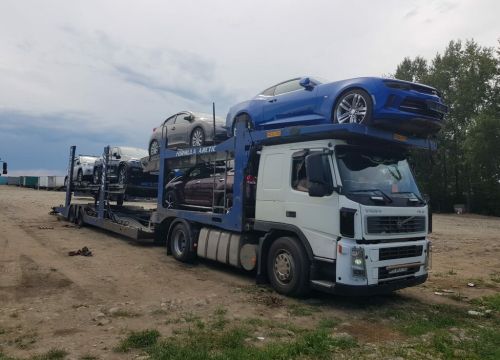 +79501100562 звонок из Фаворит Авто