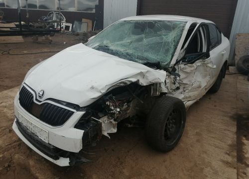 +79501711190 звонок из Автореаниматор