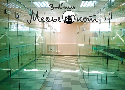 +79503141336 звонок из Месье Кот