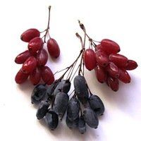 +79503500950 звонок из Барбарис