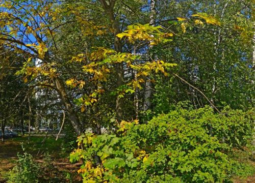 +79503583853 звонок из Корма и рационы