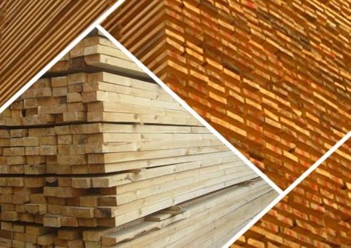 +79503780441 звонок из Росбизнеслес