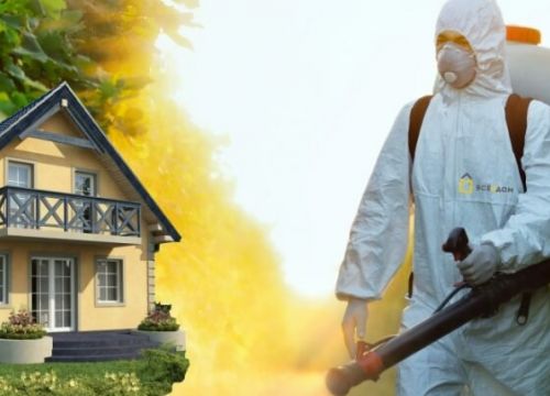 +79505181980 звонок из Дез- Служба