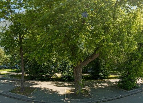 +79505522977 звонок из Команда Чистоты