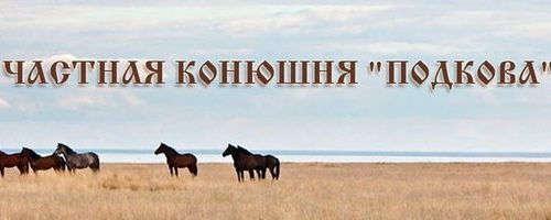 +79507721594 звонок из Подкова