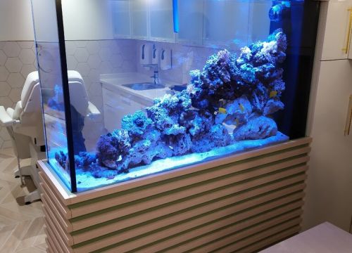 +79507770422 звонок из Фишка