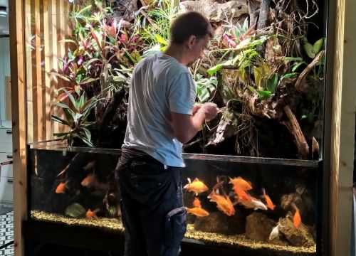 +79507770422 звонок из Фишка