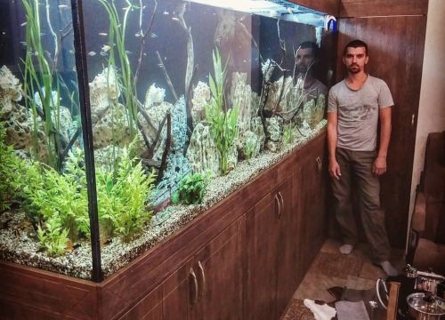 +79507770422 звонок из Фишка