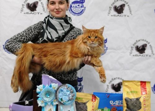 +79510766969 звонок из Grand King