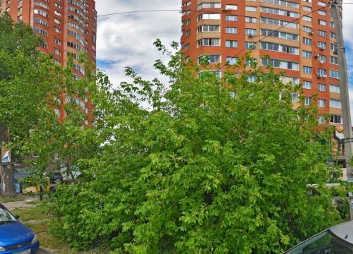+79510872454 звонок из Спектр здоровья
