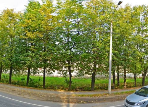 +79512110830 звонок из Дом кедр