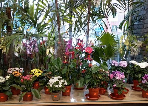 +79512141562 звонок из Для Любимых