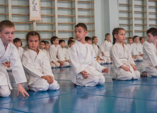 +79512155000 звонок из РОО Федерация Айкидо Удмуртской Республики