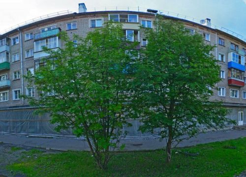 +79513491722 звонок из Эсфирь
