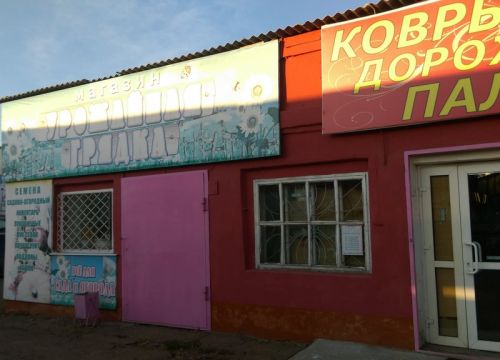 +79516241433 звонок из Магазин ковров