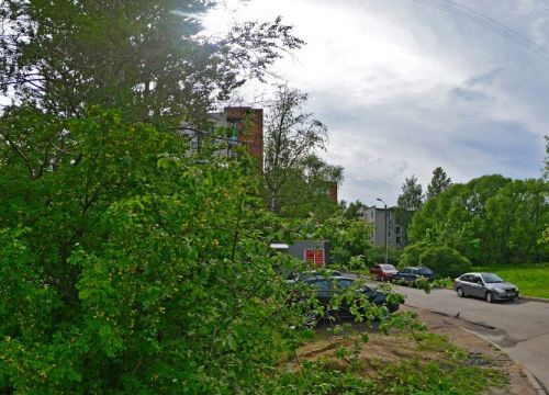 +79516400991 звонок из Ремонт обуви