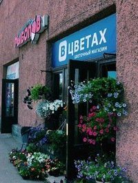 +79516443672 звонок из В Цветах