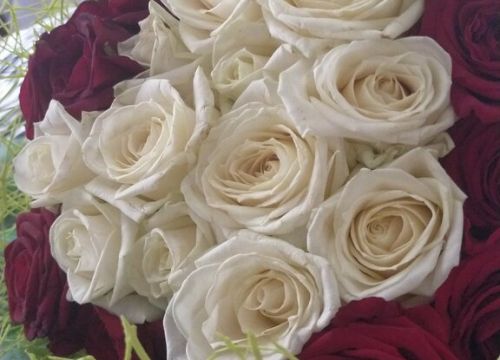 +79518154388 звонок из Азалия