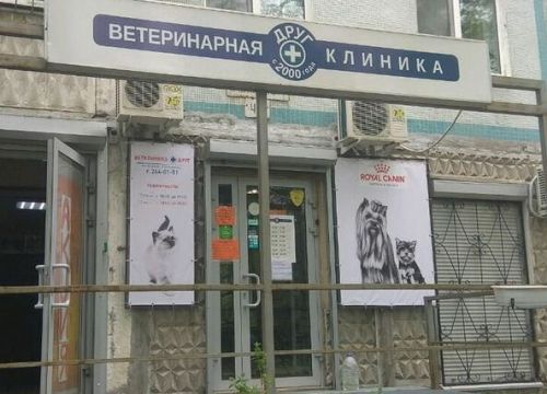 +79519110753 звонок из Друг