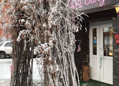 +79519623235 звонок из Pion Surgut